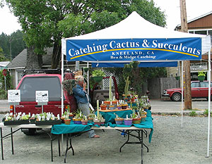 Catching Cactus at Garberville Farmers Market 2003
