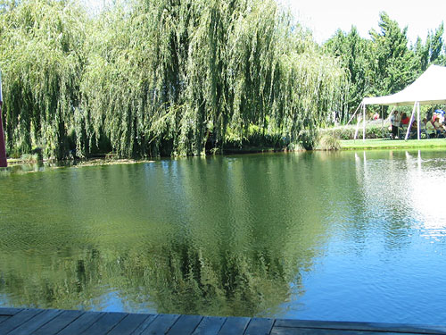 Pond at Solfest